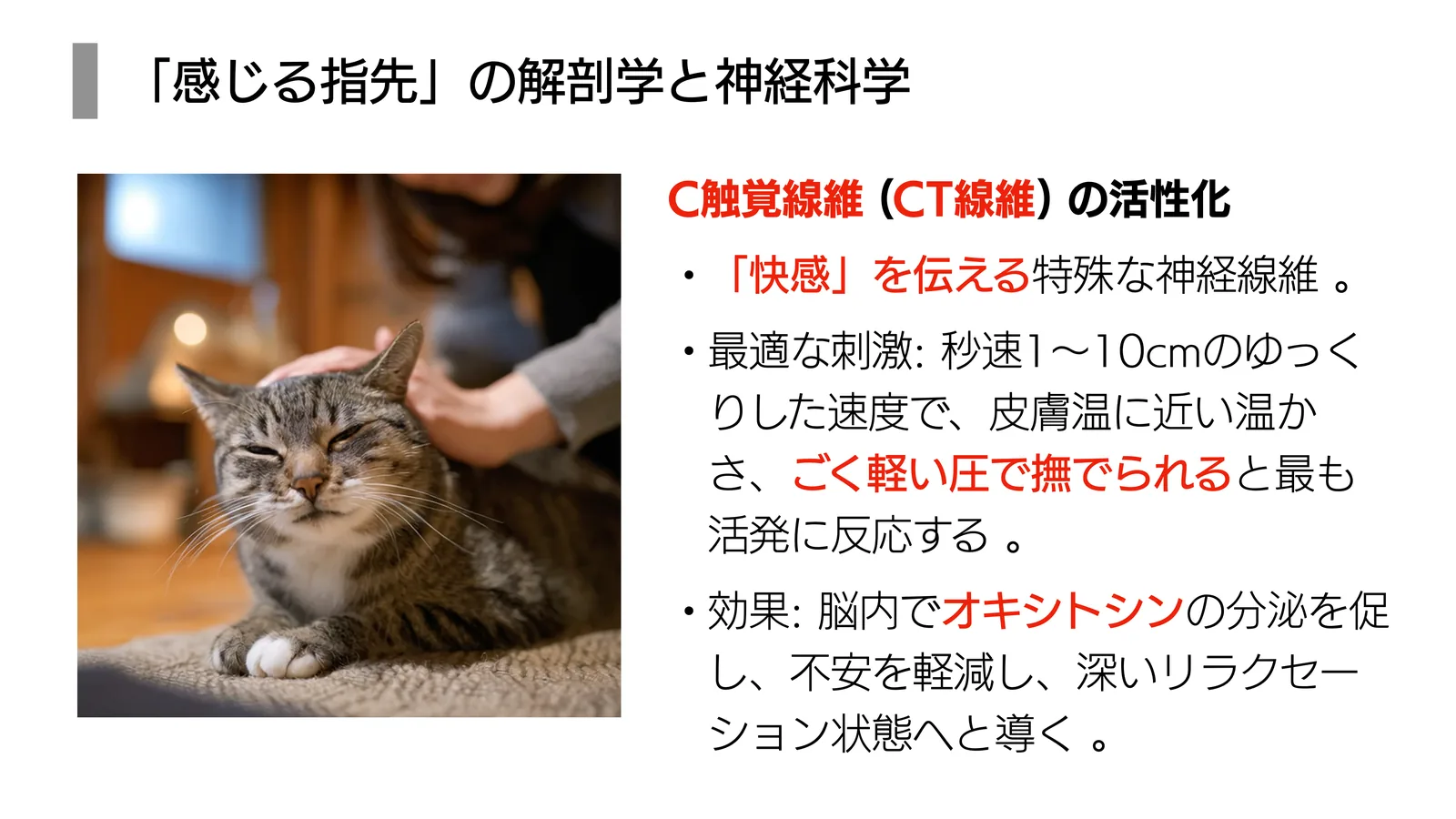 「感じる指先」の解剖学と神経科学
