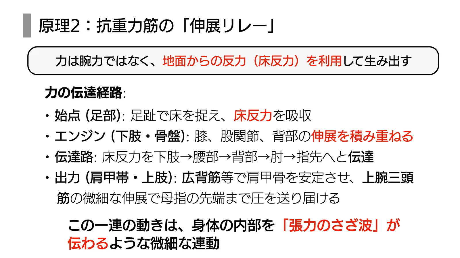 原理2：抗重力筋の「伸展リレー」