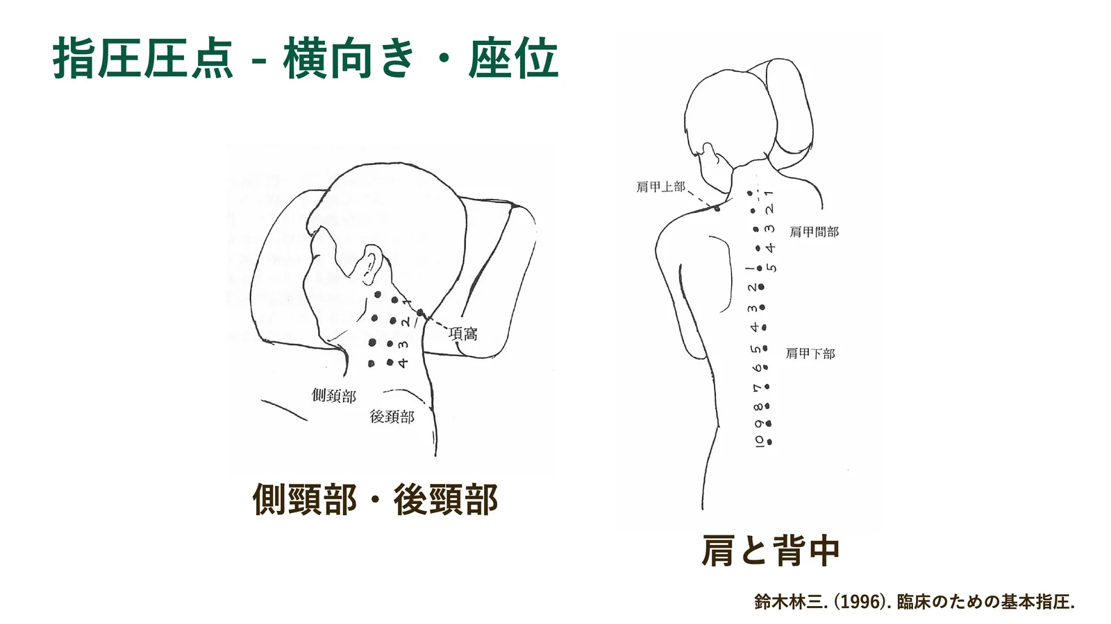 指圧圧点 - 横向き・座位